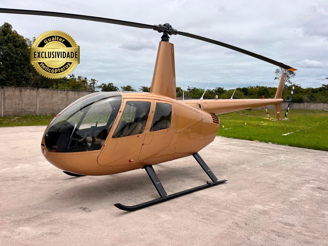 Helicóptero Robinson R44 Raven II ano 2010 dourado pousado. No canto superior esquerdo da imagem está um selo de exclusividade e, no centro da imagem, a marca d'água da empresa anunciante: Gualter Helicópteros.